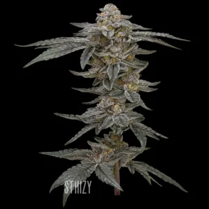 PREMIUM CANNABIS FLOWER